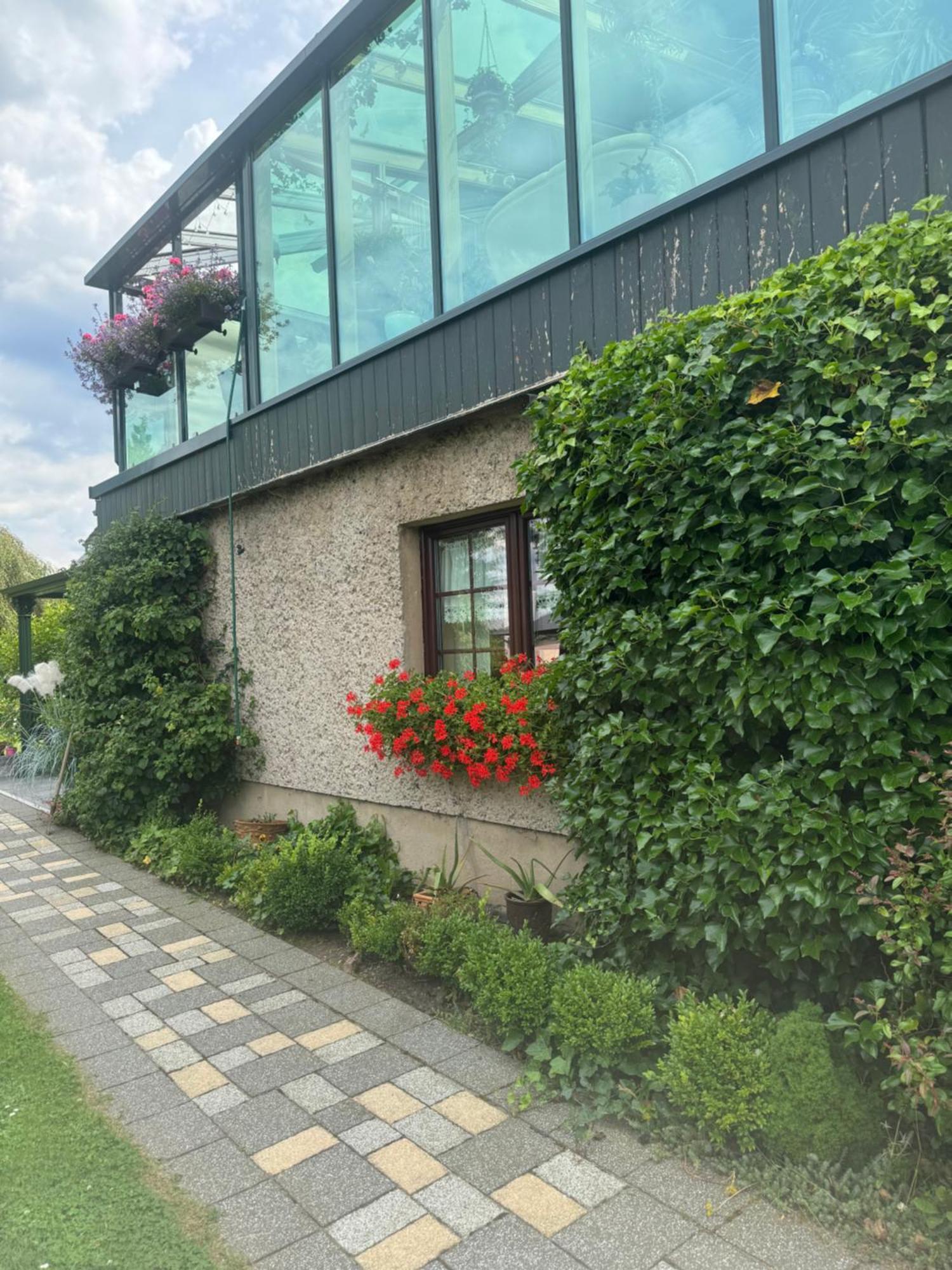 Ferienwohnung Hinterhermsdorf Glaser Sebnitz Exteriör bild